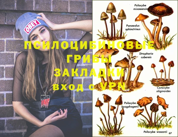 бошки Магадан