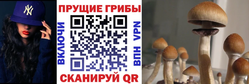 Галлюциногенные грибы мухоморы  Лысково 